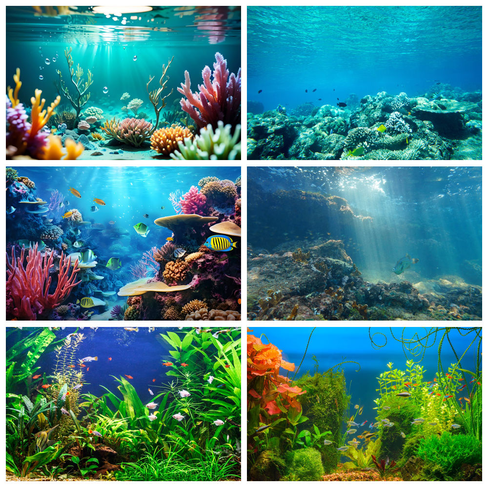 Aquarium Marine World - Latar Belakang Fotografi Dasar Laut Dunia