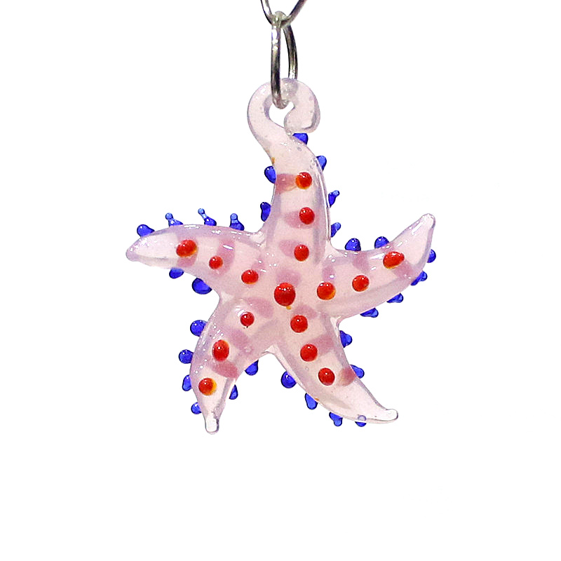 Marine Aquarium - Lucu hewan laut bintang laut pesona