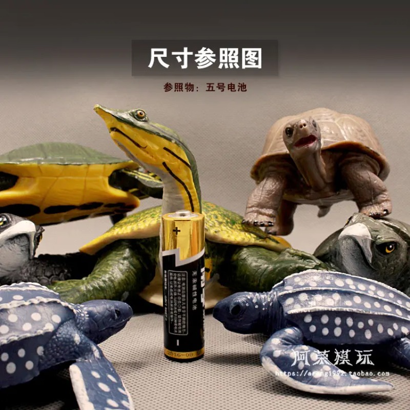 Kura-kura Telinga Merah Kulit  - Ocean Aquarium ulasan dan harga