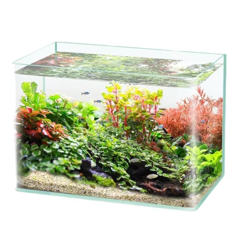 Akuarium Meja Kaca Lengkung Ul - Saltwater Tank ulasan dan harga