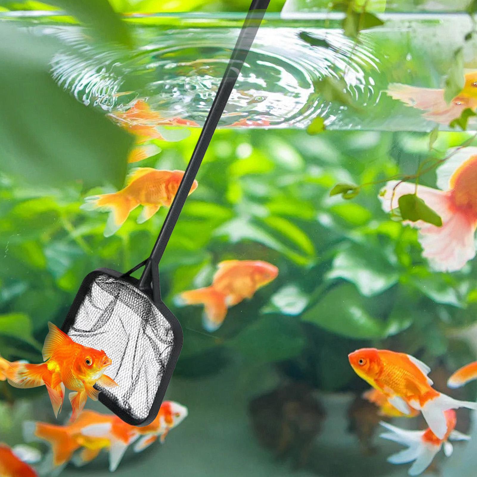Jaring Kolam Renang untuk Memb - Marine Aquarium ulasan dan harga