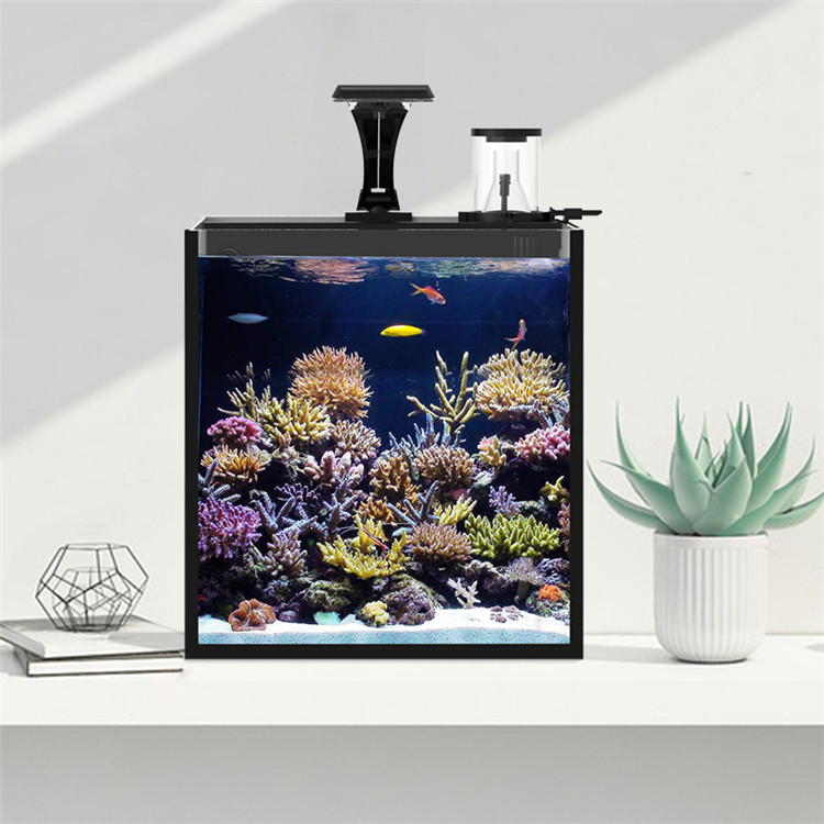 Skynuo Ultra Clear Glass Mini  - Marine Aquarium Cube ulasan dan harga