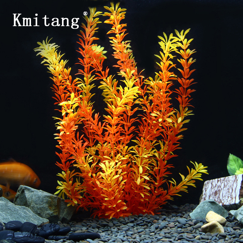 Tanaman Tropis 100cm, Rumput A - Marine Aquarium ulasan dan harga