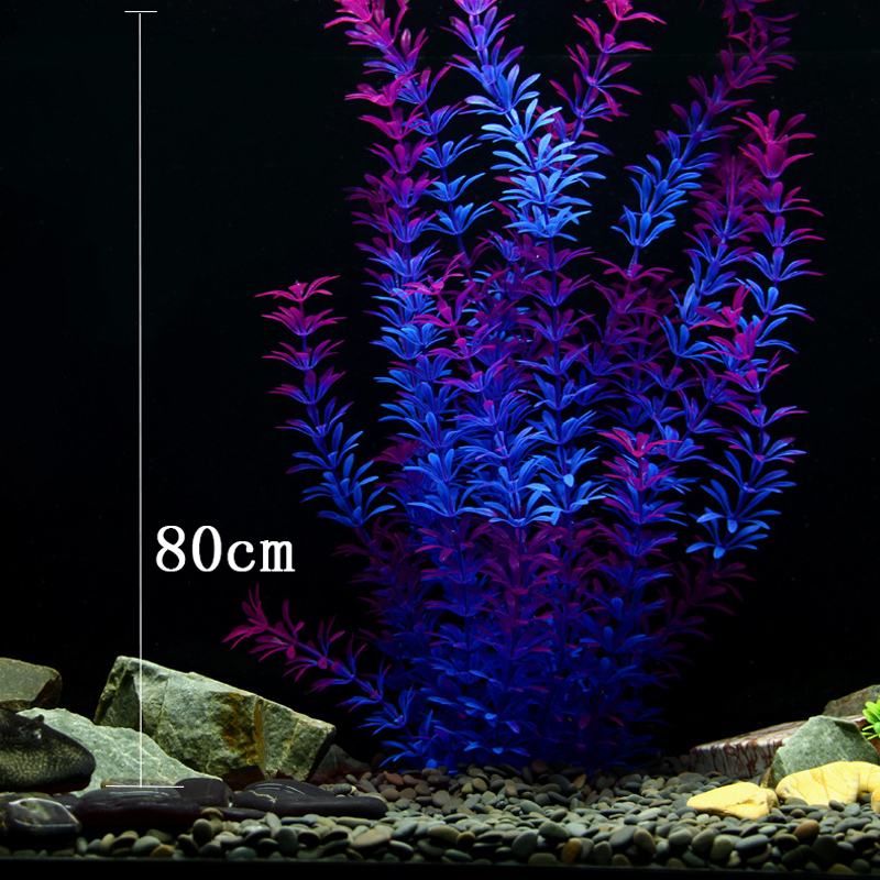 Tanaman Tropis 100cm, Rumput A - Marine Aquarium ulasan dan harga