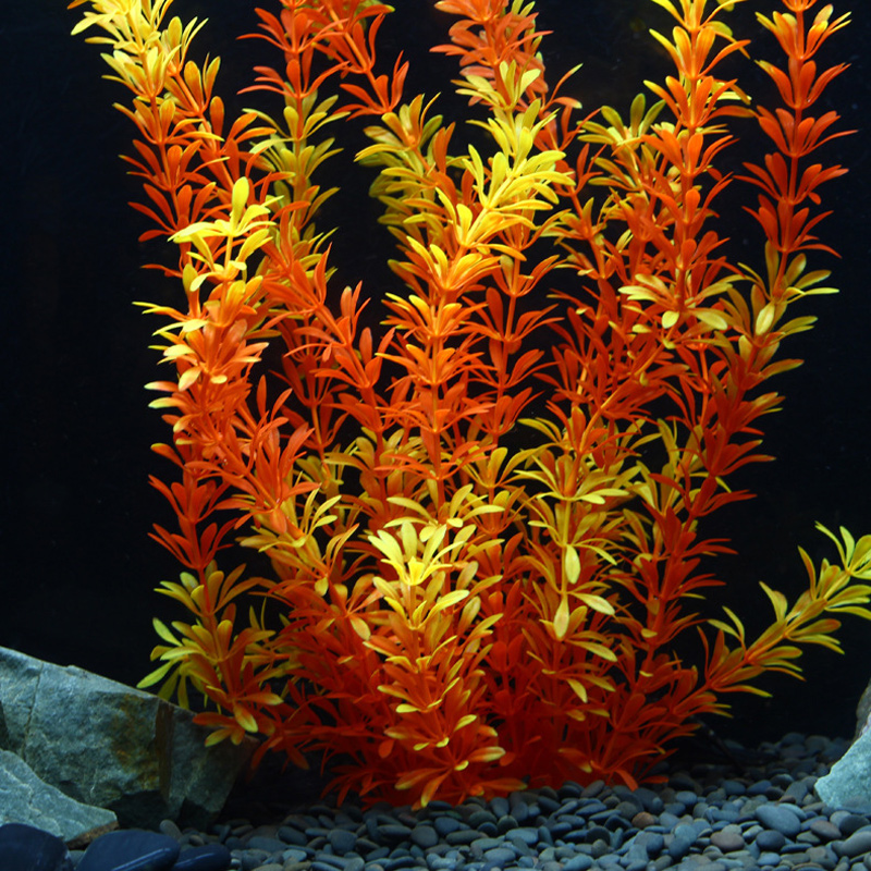 Tanaman Tropis 100cm, Rumput A - Marine Aquarium ulasan dan harga