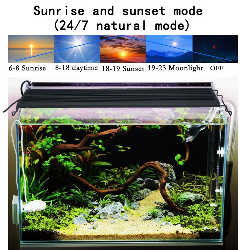 Lampu LED Akuarium Spektrum Pe - Reef Lighting ulasan dan harga