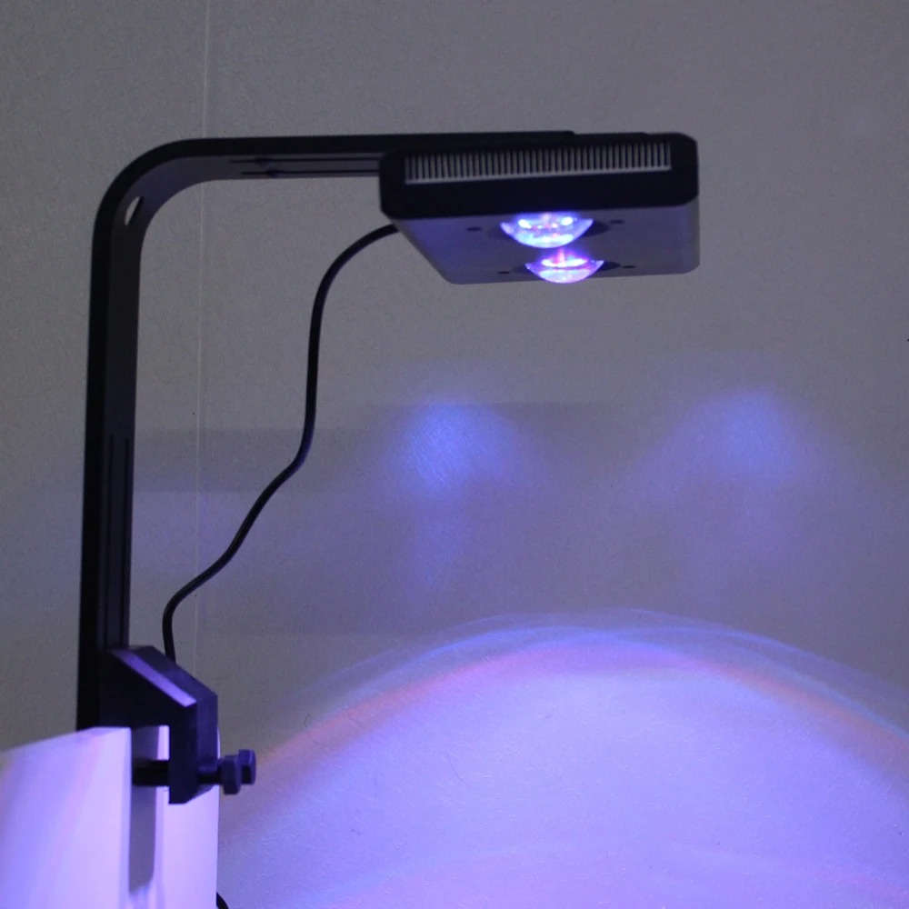 Lampu LED Akuarium Air Asin Sp - Reef Lighting ulasan dan harga