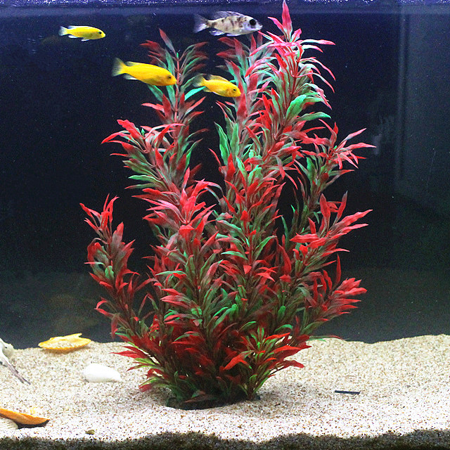 50CM Kolam Ikan Buatan Tanaman - Marine Fish Tank ulasan dan harga