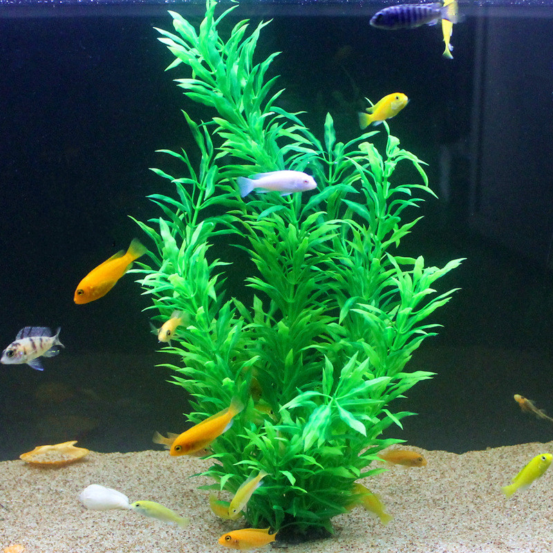 50CM Kolam Ikan Buatan Tanaman - Marine Fish Tank ulasan dan harga