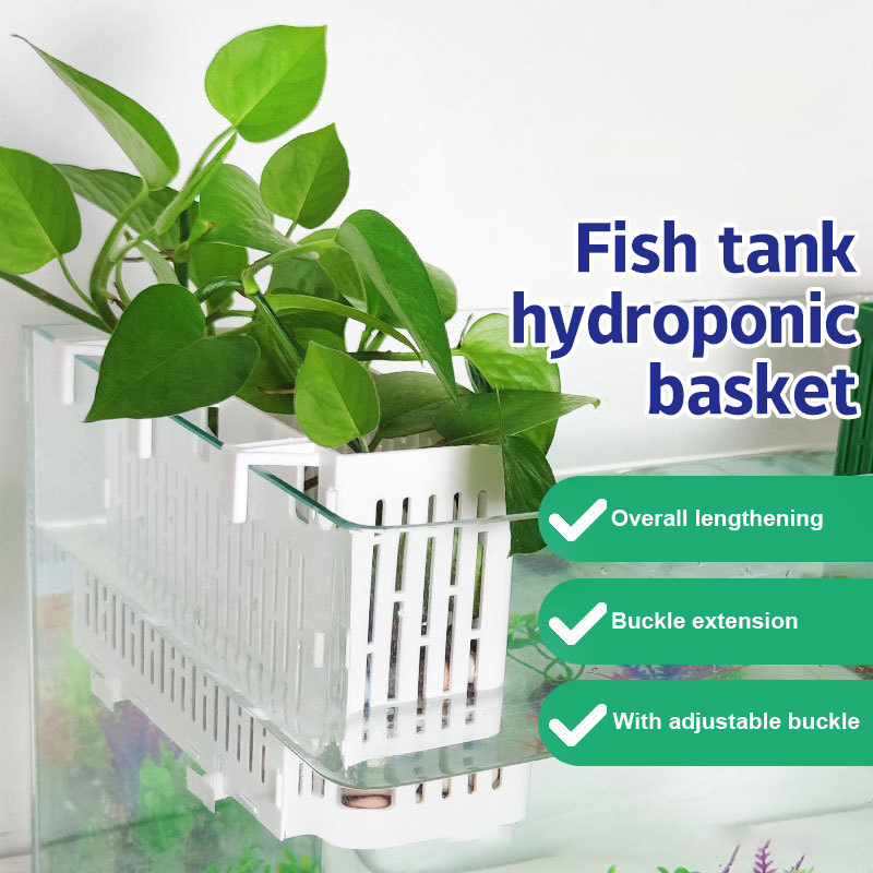 【F】Wadah Tanaman Gantung untuk - Marine Aquarium ulasan dan harga